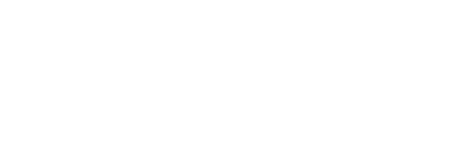 FSE logo